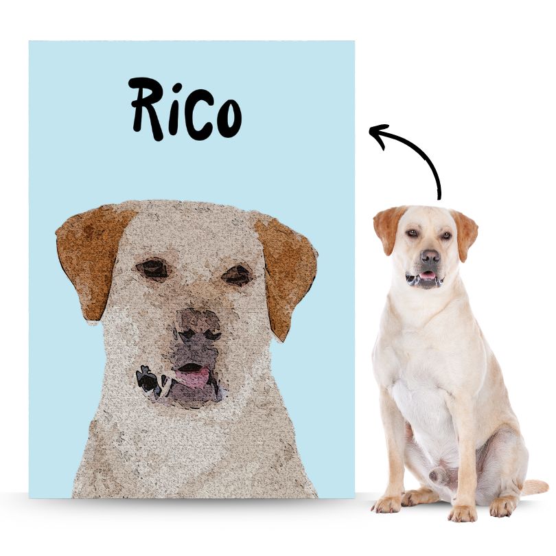 Impasto - Retrato de Mascota